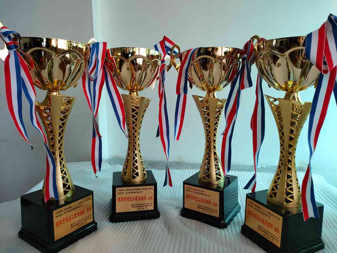 【喜報】質量興企 爭創(chuàng)一流——公司喜獲五大獎項(1)